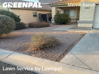 Grass Cutting nearby Apache Junction, AZ, 