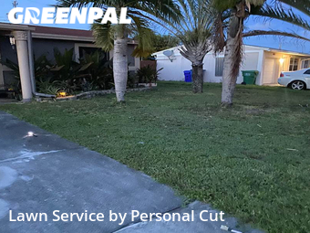 Grass Cut nearby Fort Lauderdale, FL, 