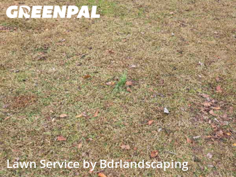 Lawn mowed in Summerville, 29485