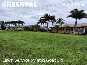 Landscape Design In Cape Coral,33993,Landscaping Renovation by Iron Goat Llc, work completed in Jun , 2026