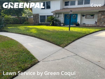 Lawn Care nearby Tampa, FL, 