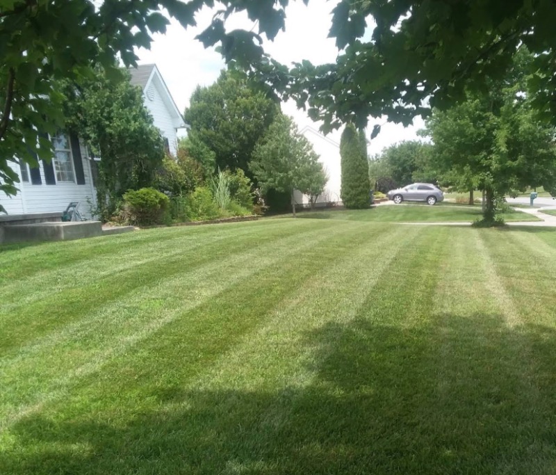 Leo Lawn Care Lawn Care Services in Tampa, FL