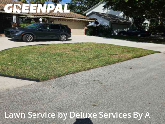 Yard Grooming in Coconut Creek, 33073, Mowing Services by Deluxe Services By A, work completed in Nov , 2025