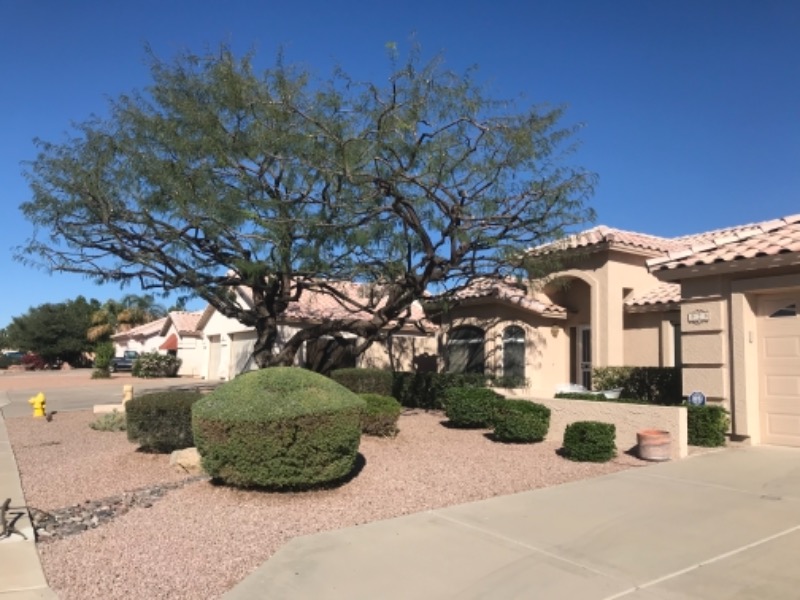 lawn-care-services-in-Casas Adobes-AZ