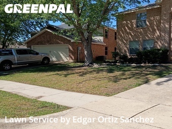 Lawn Cutting nearby Princeton, TX, 