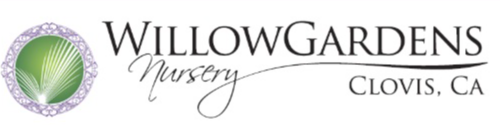 Best Nursery in Clovis California 3