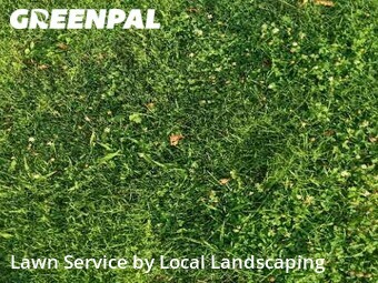 Lawn Mow nearby Delaware, OH, 