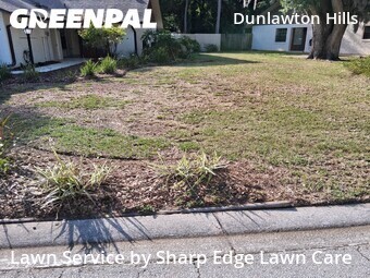 Grass Cut nearby Port Orange, FL, 