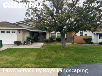 lawn-maintenance-in-Stockton-CA