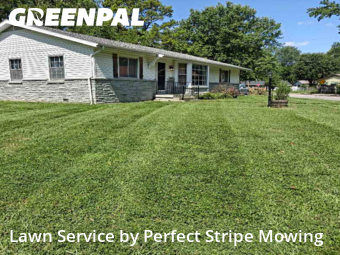 Lawn Service nearby Springfield, MO, 