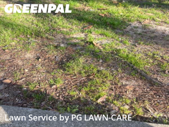 Lawn Care nearby Snellville, GA, 