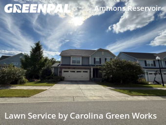 Weed Trimming in Wake Forest, 27587, Yard Grooming by Carolina Green Works, work completed in Nov , 2025