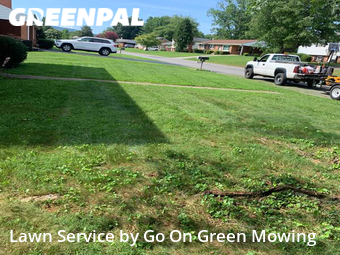 Lawn Cutting nearby Hollins, VA, 