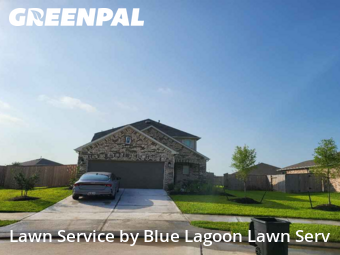 Yard Cuttingin Rosenberg,77471,Lawn Service by Blue Lagoon Lawn Serv, work completed in Nov , 2025