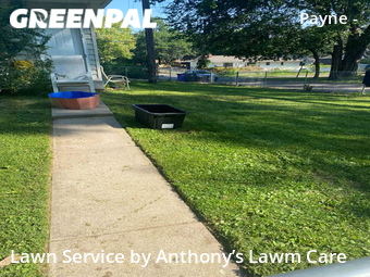 Grass Cut nearby Saint Paul, MN, 