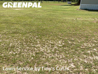 Lawn Cutting nearby Valdosta, GA, 