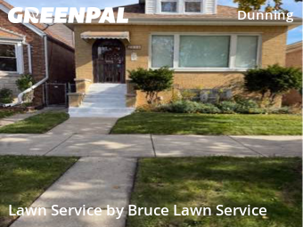 Yard Cutting nearby Chicago, IL, 