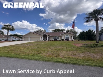 Lawn Cut nearby Spring Hill, FL, 