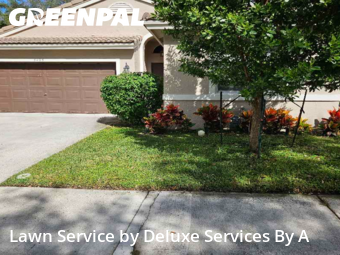 Lawn Care in Coconut Creek, 33073, Yard Care by Deluxe Services By A, work completed in Dec , 2025