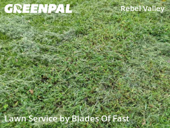 Lawn Care Service nearby Atlanta, GA, 