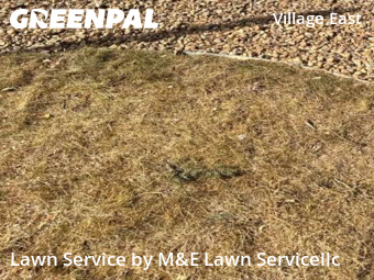 Backyard Landscaping In Aurora,80012,Landscaping Services by M&E Lawn Servicellc, work completed in Dec , 2025