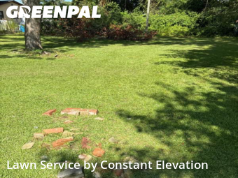 Lawn Mow nearby La Grange, NC, 