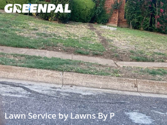 Lawn Care Service nearby Fort Worth, TX, 