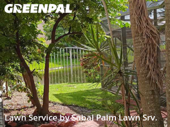 Lawn Cutin Plantation,33322,Lawn Mowing Service by Sabal Palm Lawn Srv., work completed in Dec , 2025