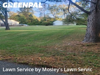 Lawn Cut nearby Clarksville, TN, 