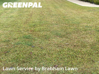 Grass Cutting nearby Baton Rouge, LA, 