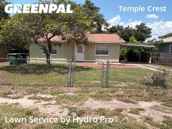 Lawn Cut nearby Tampa, FL, 