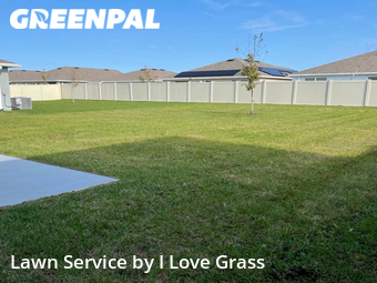 Lawn Mow nearby Wesley Chapel, FL, 