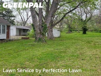 Lawn Service nearby Independence, MO, 