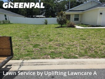 Grass Cut nearby Ocala, FL, 