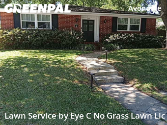 Grass Cut nearby Jacksonville, FL, 
