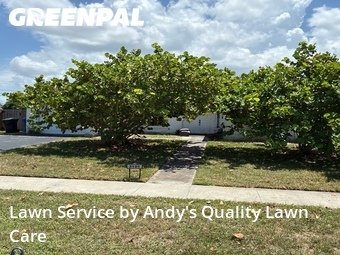 Grass Cutting nearby St. Petersburg, FL, 