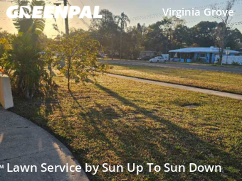 Lawn Maintenance nearby Clearwater, FL, 