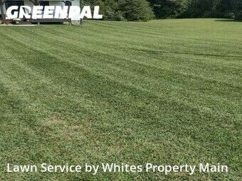 Lawn Care Service nearby Greenback, TN, 