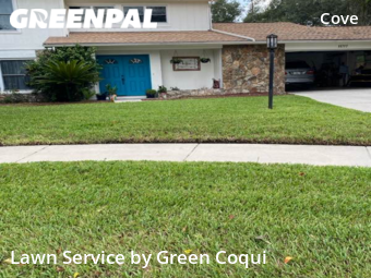 Lawn Mow nearby Tampa, FL, 