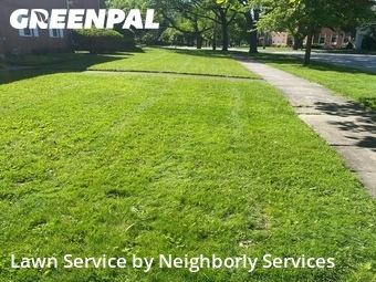 Lawn Cut nearby Shaker Heights, OH, 