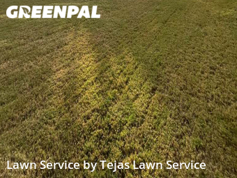 Yard Mowing nearby Round Rock, TX, 