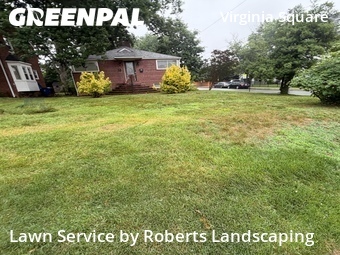 Lawn Mow nearby Arlington, VA, 