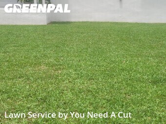 Yard Mowing nearby North Miami, FL, 