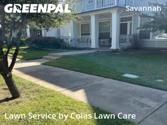 Lawn Cut nearby Denton County, TX, 