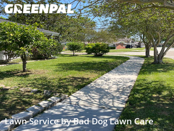 Grass Cut nearby Metairie, LA, 