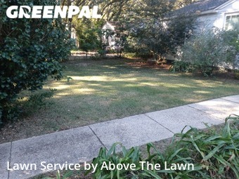 Lawn Mow nearby Pensacola, FL, 