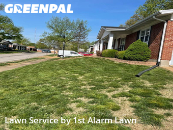 Grass Cut nearby St. Louis, MO, 