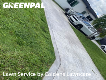 Yard Cutting in Golden Glades, 33168, Yard Cutting by Caidens Lawncare , work completed in Nov , 2025