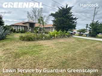 Yard Management in Cape Coral, 33991, Grass Services by Guardian Greenscapin, work completed in Dec , 2025