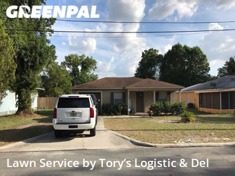 Grass Cut nearby Lakeland, FL, 